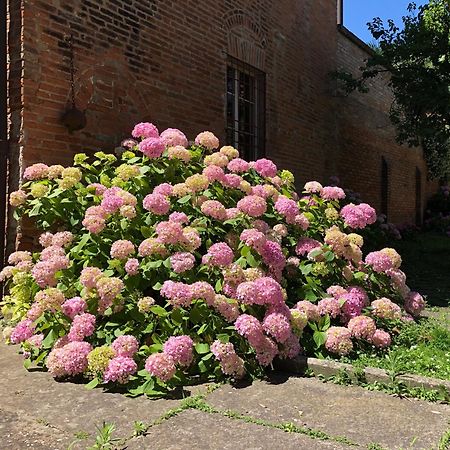 Palazzo Sabbioni Suite Del Conte Elegant Suite In Old Monastery City Center Ferrara Exterior foto